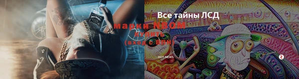 скорость Новокубанск