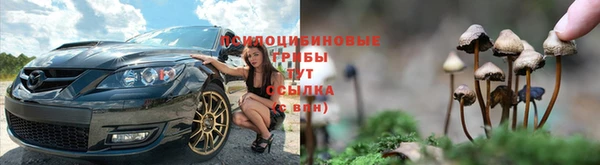 скорость Новокубанск