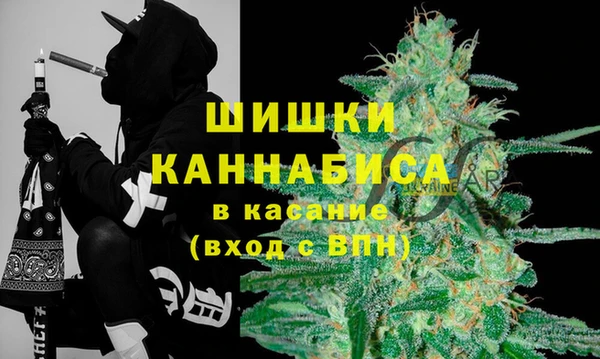 не бодяженный Новозыбков