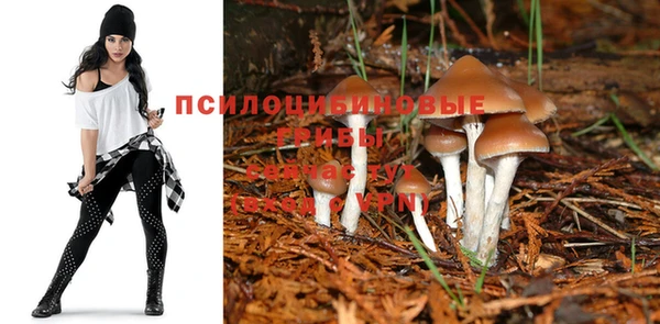 скорость Новокубанск