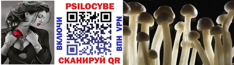 Псилоцибиновые грибы мицелий сайты даркнета формула Рыбное блэк спрут рабочий сайт
